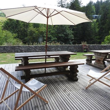 Le Lioran Studio Les Myrtilles A 200M Des Pistes Exterior photo