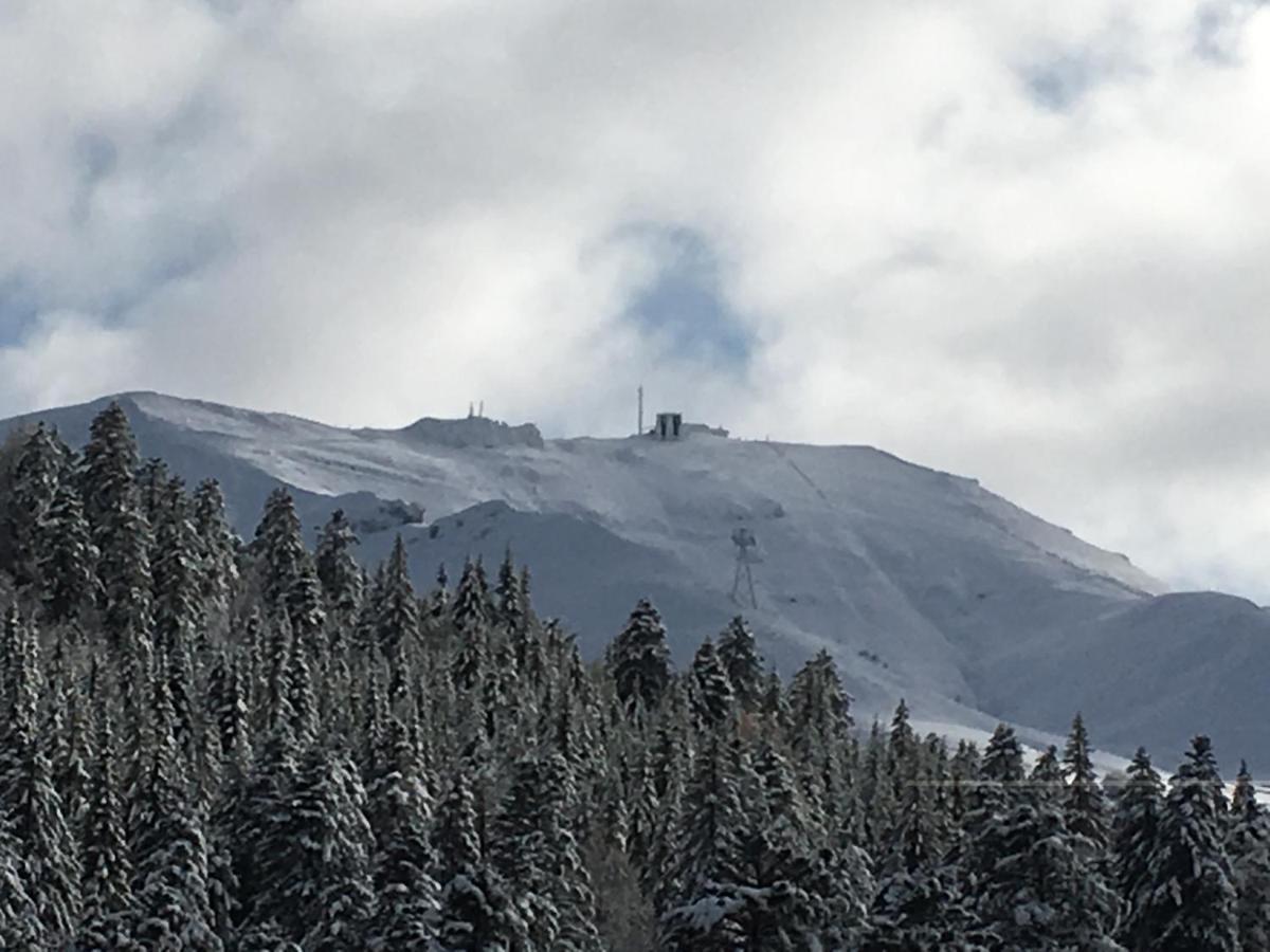 Le Lioran Studio Les Myrtilles A 200M Des Pistes Exterior photo