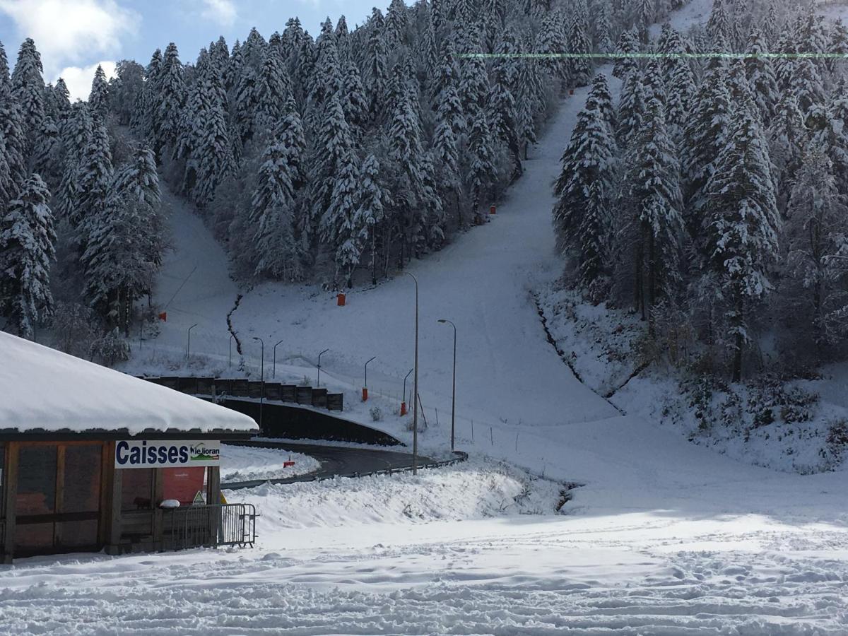Le Lioran Studio Les Myrtilles A 200M Des Pistes Exterior photo