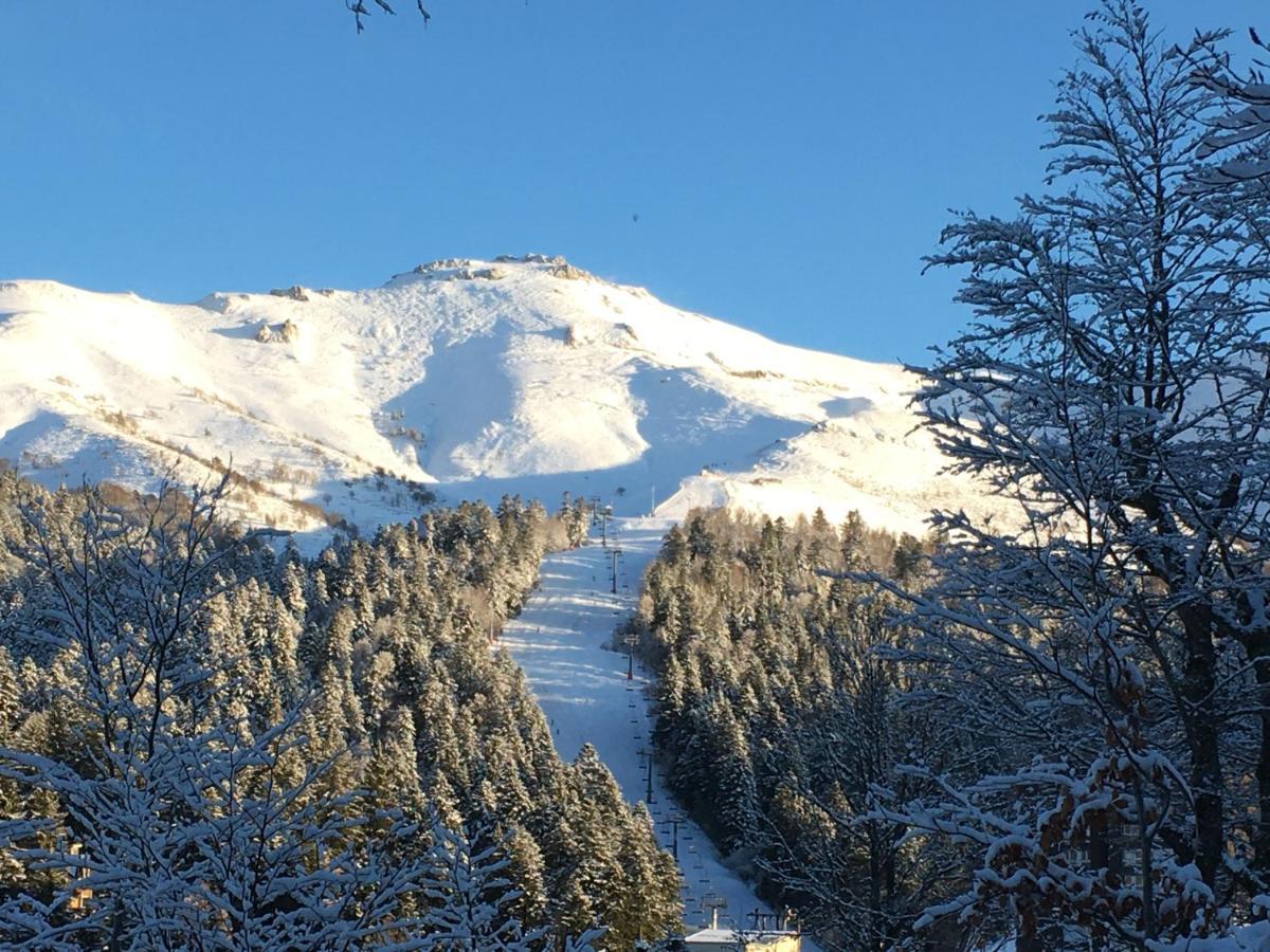 Le Lioran Studio Les Myrtilles A 200M Des Pistes Exterior photo