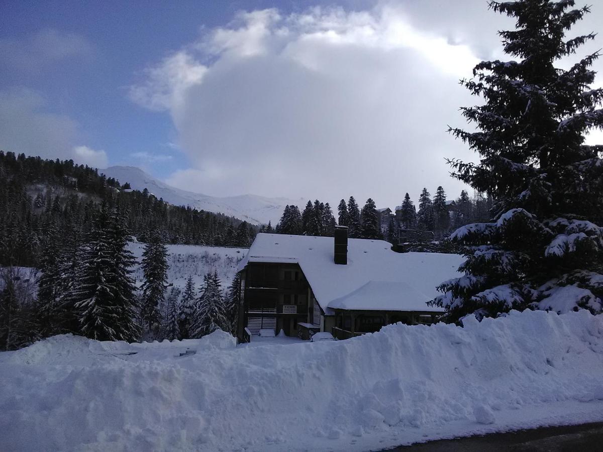 Le Lioran Studio Les Myrtilles A 200M Des Pistes Exterior photo