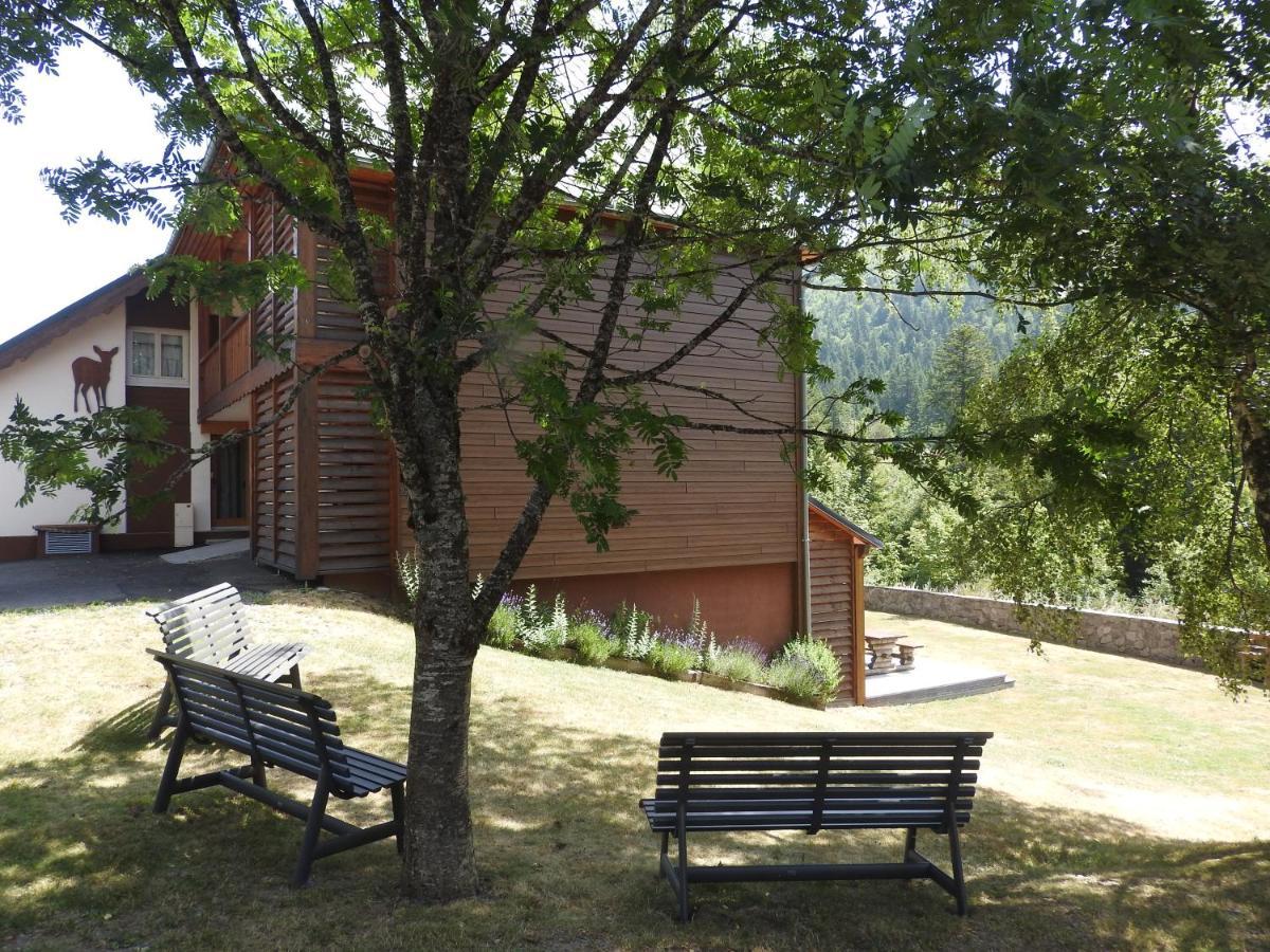 Le Lioran Studio Les Myrtilles A 200M Des Pistes Exterior photo
