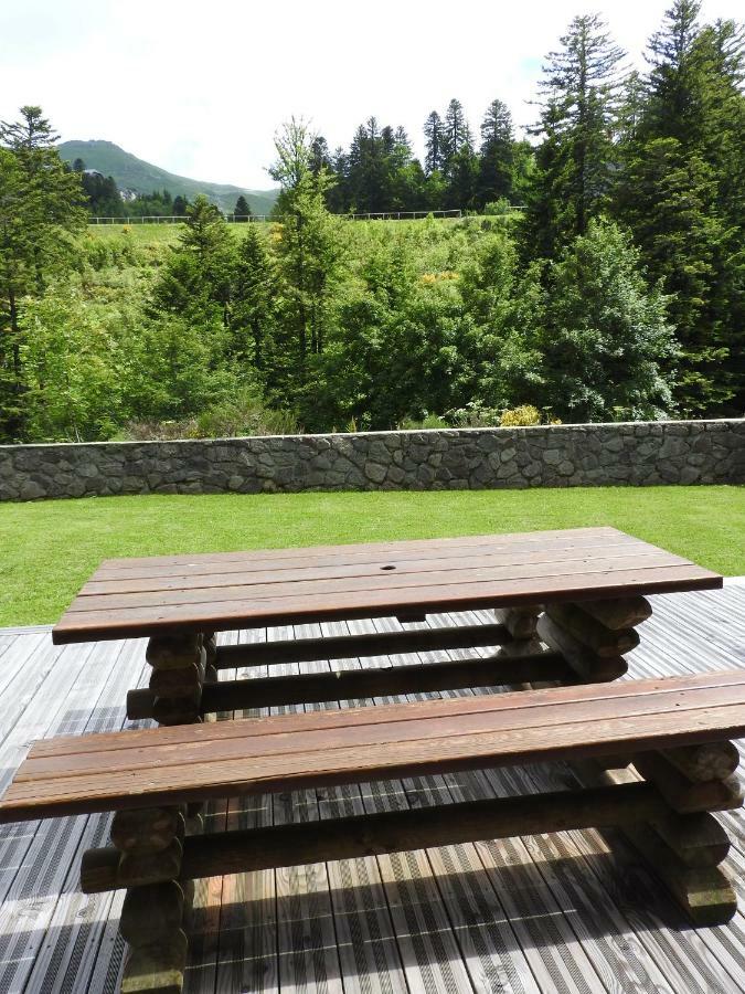 Le Lioran Studio Les Myrtilles A 200M Des Pistes Exterior photo